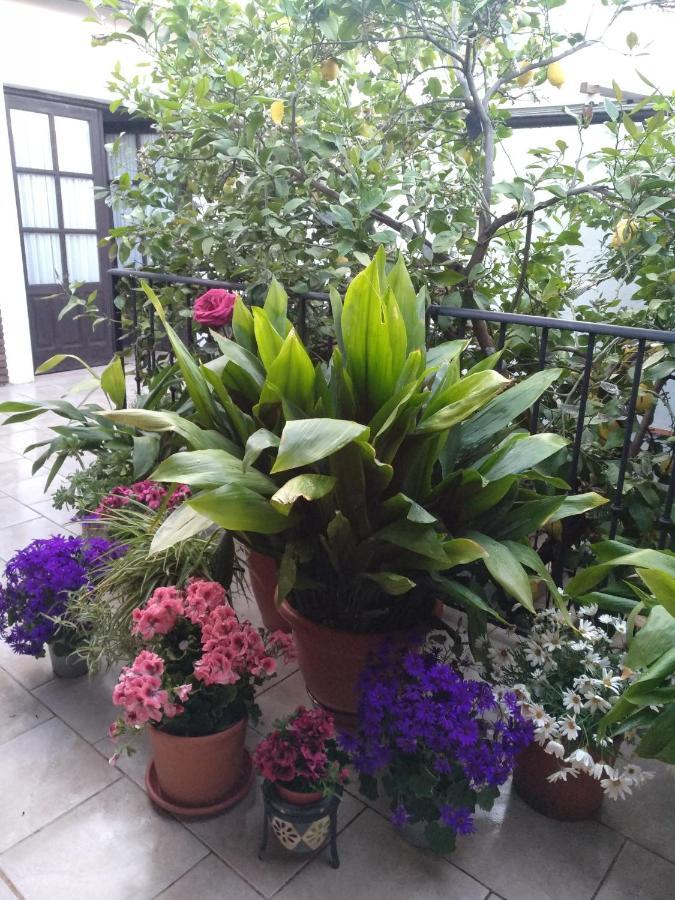 El Patio Andalu Bed & Breakfast Ardales Exterior photo
