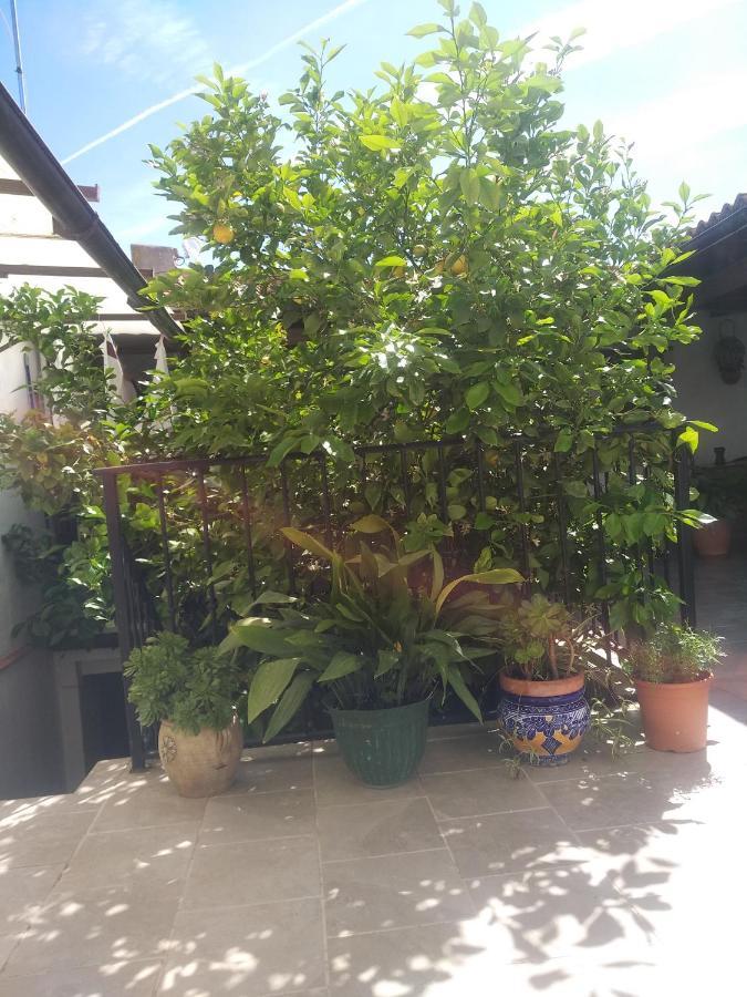 El Patio Andalu Bed & Breakfast Ardales Exterior photo